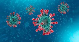 Com afecta el Coronavirus al nostre sector?