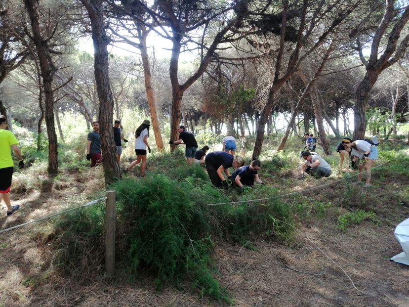 Environmental volunteering