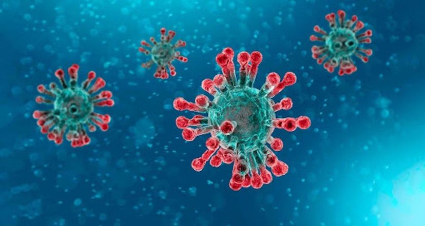Coronavirus: como afecta al sector